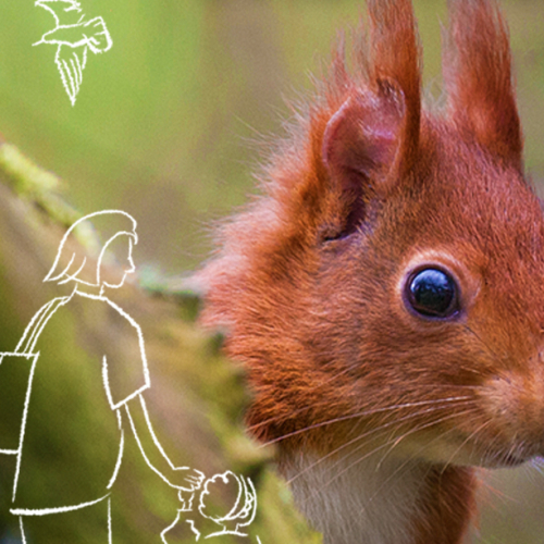 Festi'Nature au Safari Thoiry