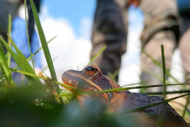 Terre & Océan : balade et animaux