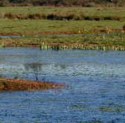 Réserve naturelle de Bruges