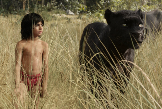 Le Livre de la Jungle