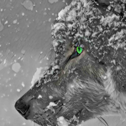 Pierre et le loup - Orchestre Symphonique de Gironde