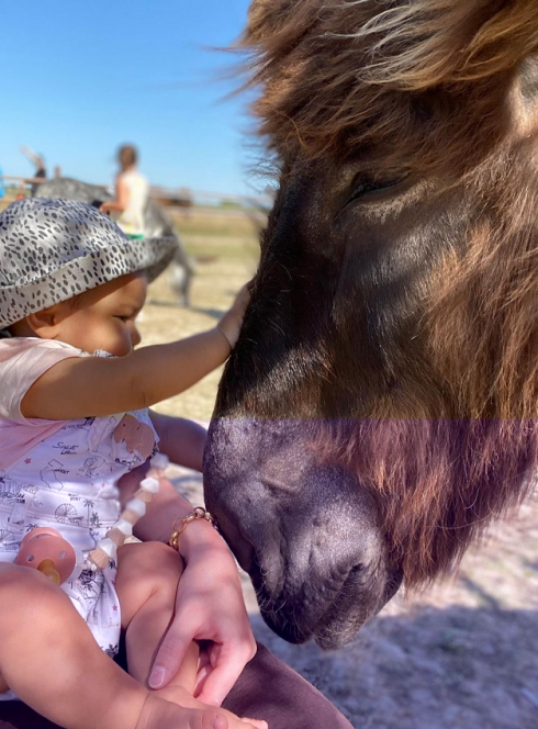 Z'Âne Attitude : Un petit bébé caresse un âne
