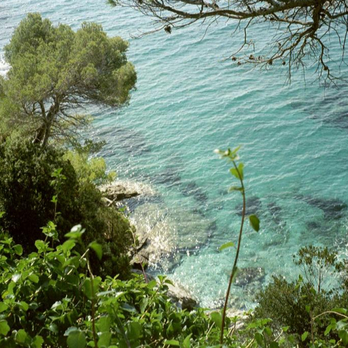 Domaine du Rayol