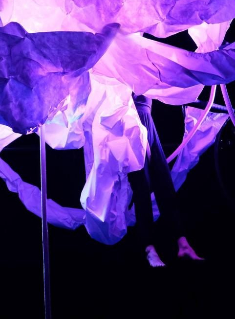 Nout - Le Cirque du Bout du Monde