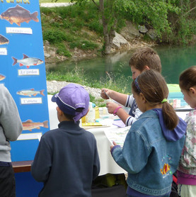 Animations dans les parcs naturels des Alpes-Maritimes