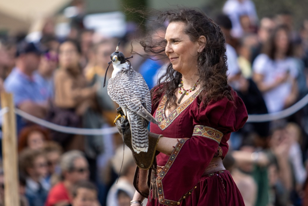 Biot et les Templiers : Spectacle de fauconnerie