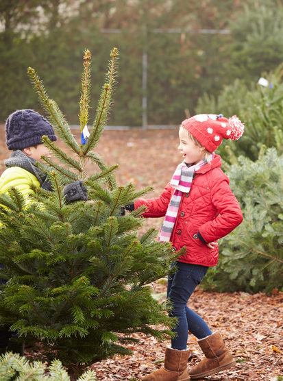 Acheter son sapin de Noël en famille