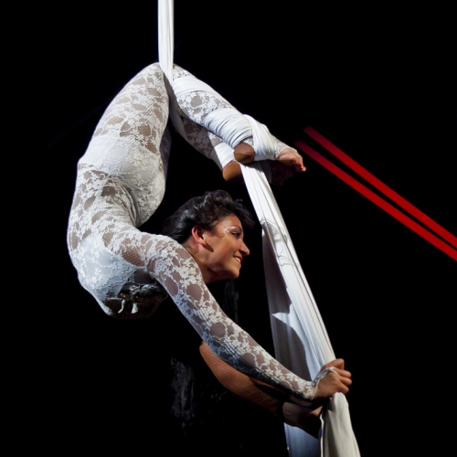 Lignes de la main - Romanès