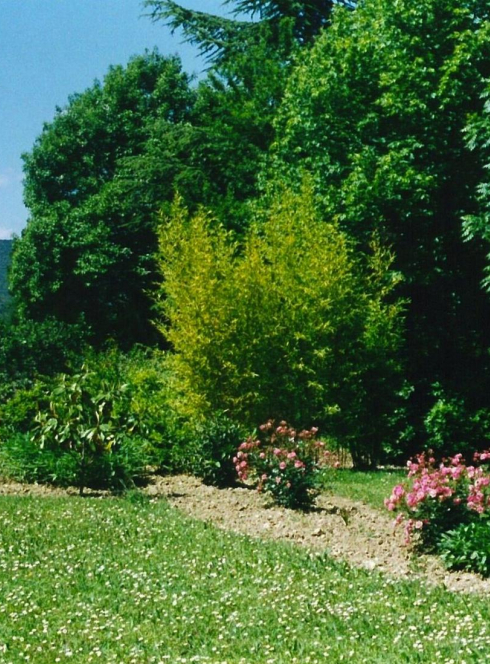 Les jardins d'Aristée