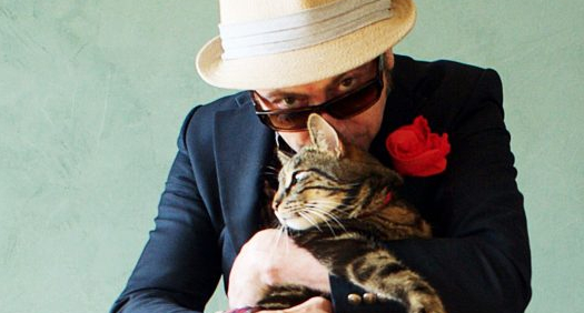 Chat Chat Chat - Pascal Parisot