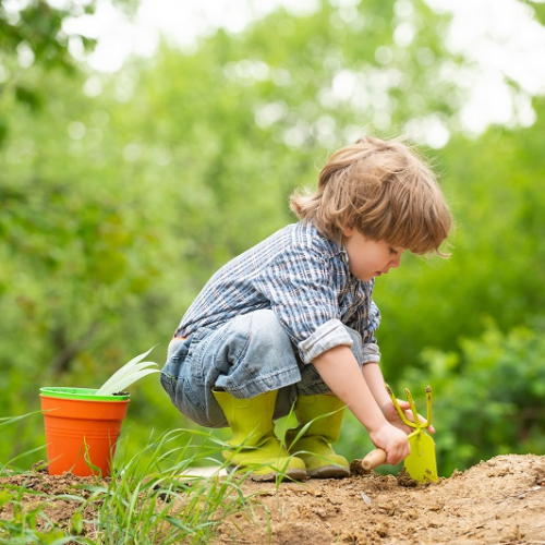 Adobe Stock - enfant jardinage