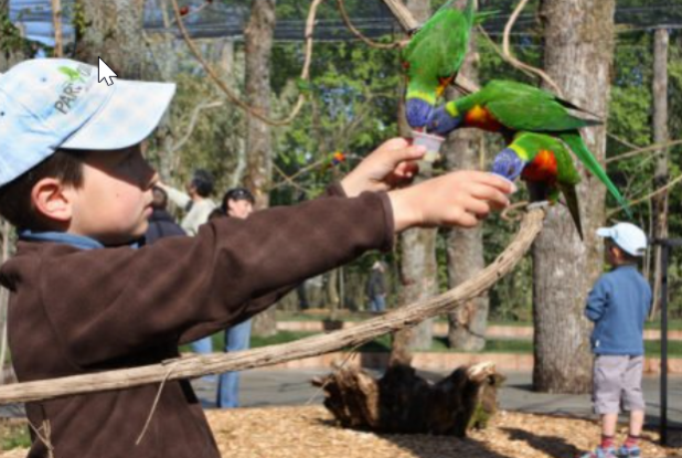 Loris Lodge au Parc des Oiseaux