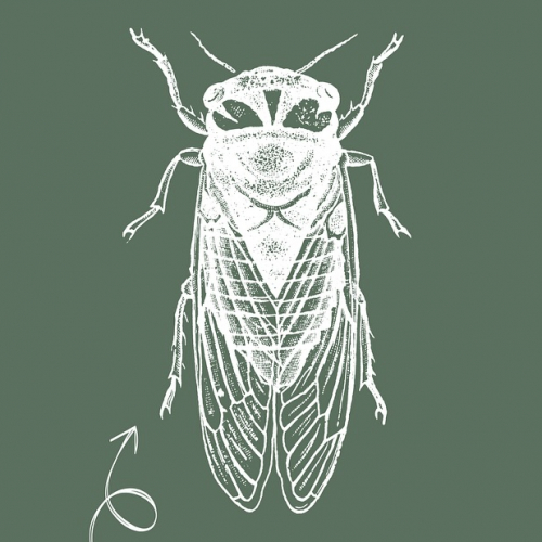 Animations à l'écomusée de la Forêt à Gardanne