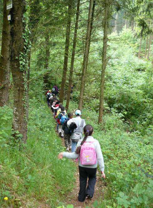 Les mercredis du Club Nature à Colmar