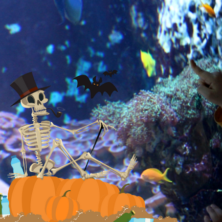 Halloween 2020 à l'aquarium de Saint-Malo