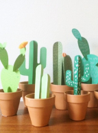 Don't take it too seriously - Atelier cactus