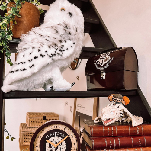 The Wizard's Shop Lille