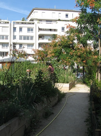 fete de la nature lapin ouvrier