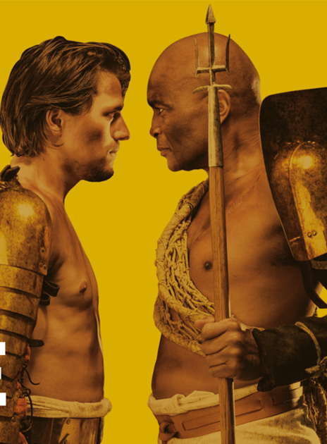 Gladiateurs héros du colisée