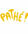 7331