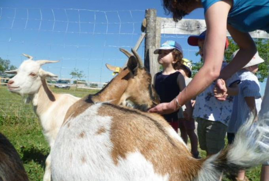 ZouZou Parc : la ferme
