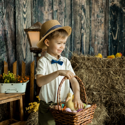 Pâques 2024 dans les fermes du Nord : petit garçon dans une étable, son panier rempli d'œufs et d'un caneton
