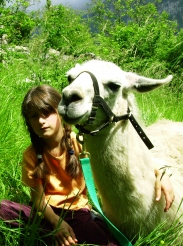 La ferme des lamas