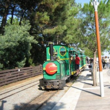 Petit train touristique du Cap Ferret
