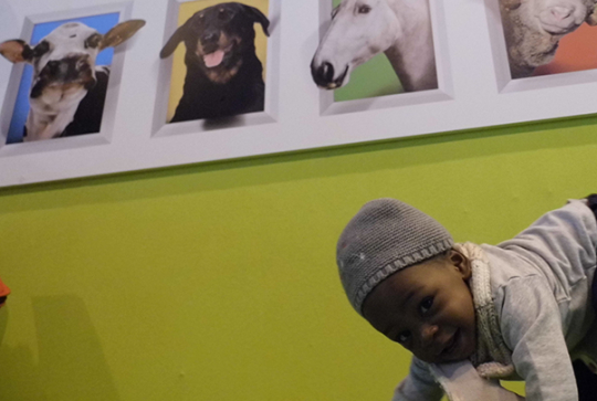 salon agriculture 2013