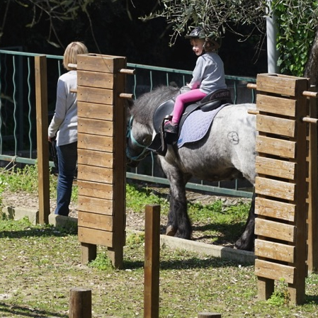 Tour de poney à la Récréation Champêtre