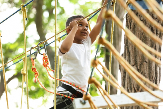 Accrobranche enfant : un garçon dans les arbres