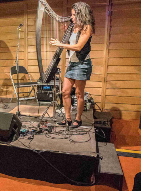 Festival Yaouank à l'Écomusée d'Alsace