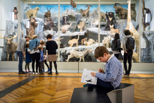 Musée d'Histoire Naturelle de Lille