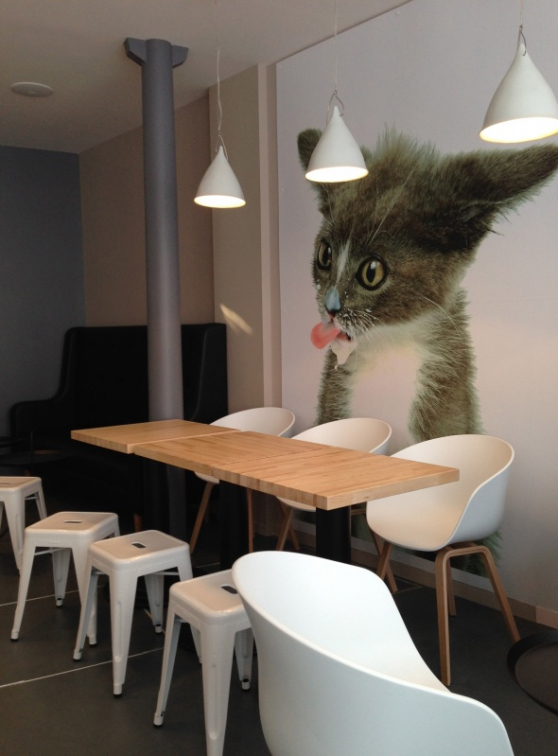 Déco originale à Cupÿou