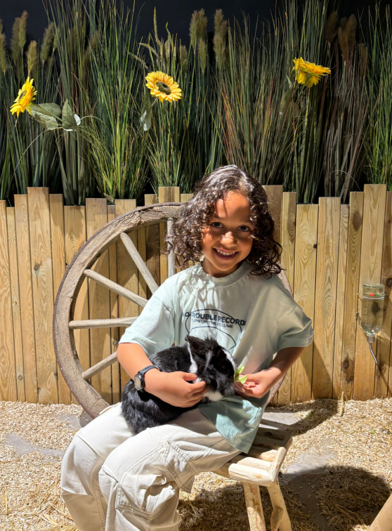 Le Monde de Noé Paris : lapin