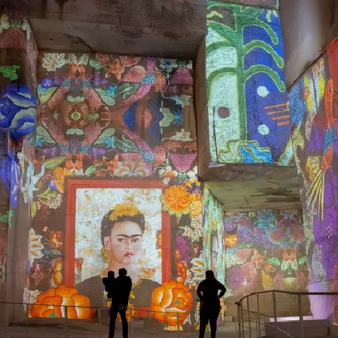 Expo Frida Kahlo avec Culturespaces