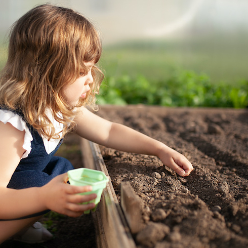 Journée verte 2021 à Gujan-Mestras
