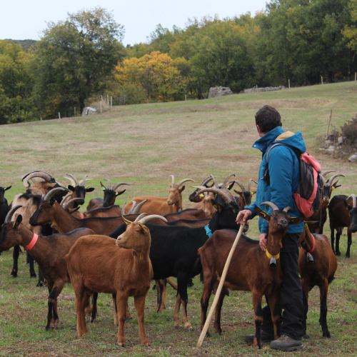 Sud de France fête la qualité