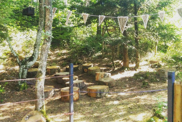 La forêt des Arboris : chasse au trésor en forêt