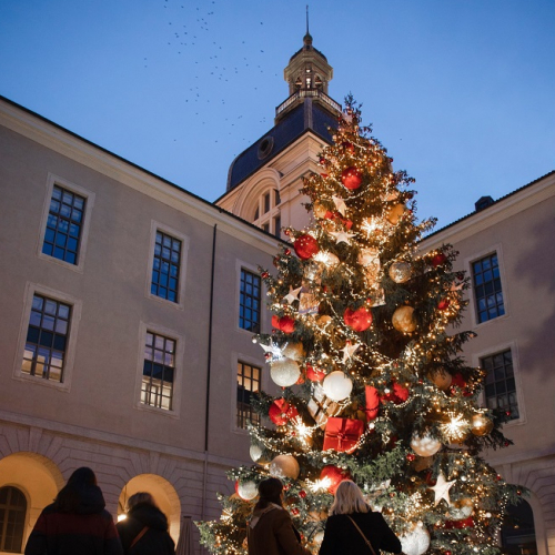 Marché de Noël du Grand Hôtel Dieu : Un grand sapin illuminé dehors