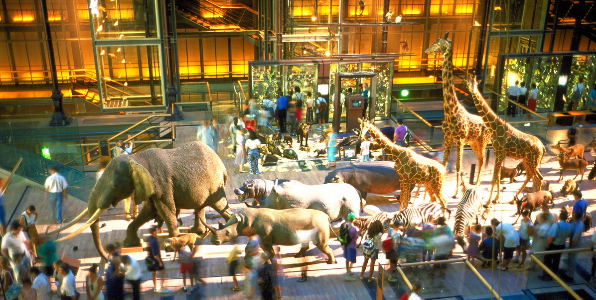 Grande Galerie de l'évolution