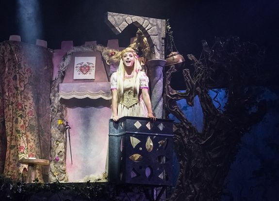 Raiponce et le prince aventurier - Guillaume Bauchède