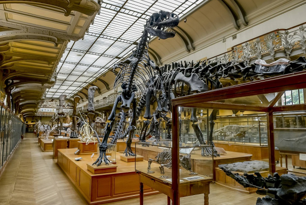 Galerie de Paléontologie au Muséum national d'Histoire naturelle
