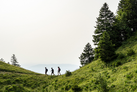 Découvrir l'Ain en été - en randonnée
