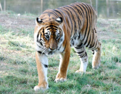 Parc zoologique de Fréjus