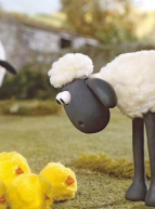Timmy le mouton acrobate