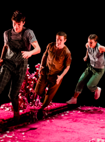 Le problème avec le rose – Le petit théâtre de Sherbrooke