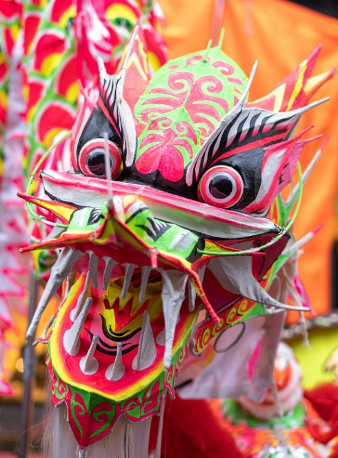 Fêter le Nouvel An chinois en famille à Lille : Un dragon coloré