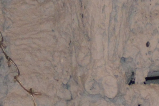 Ma Grand-Mère et moi 2014 22