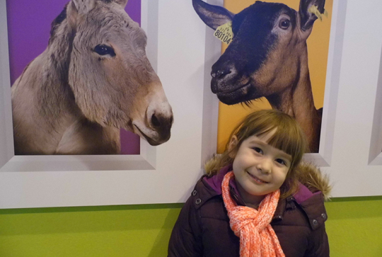 salon agriculture 2013